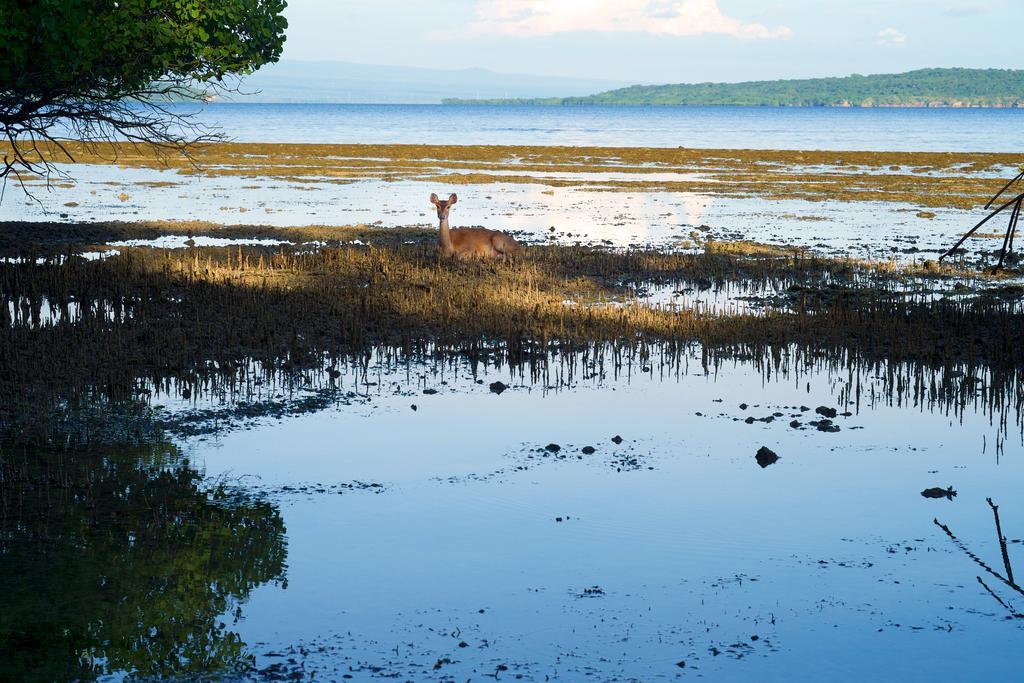 Plataran Menjangan Resort And Spa - Chse Certified Banyuwedang Eksteriør billede