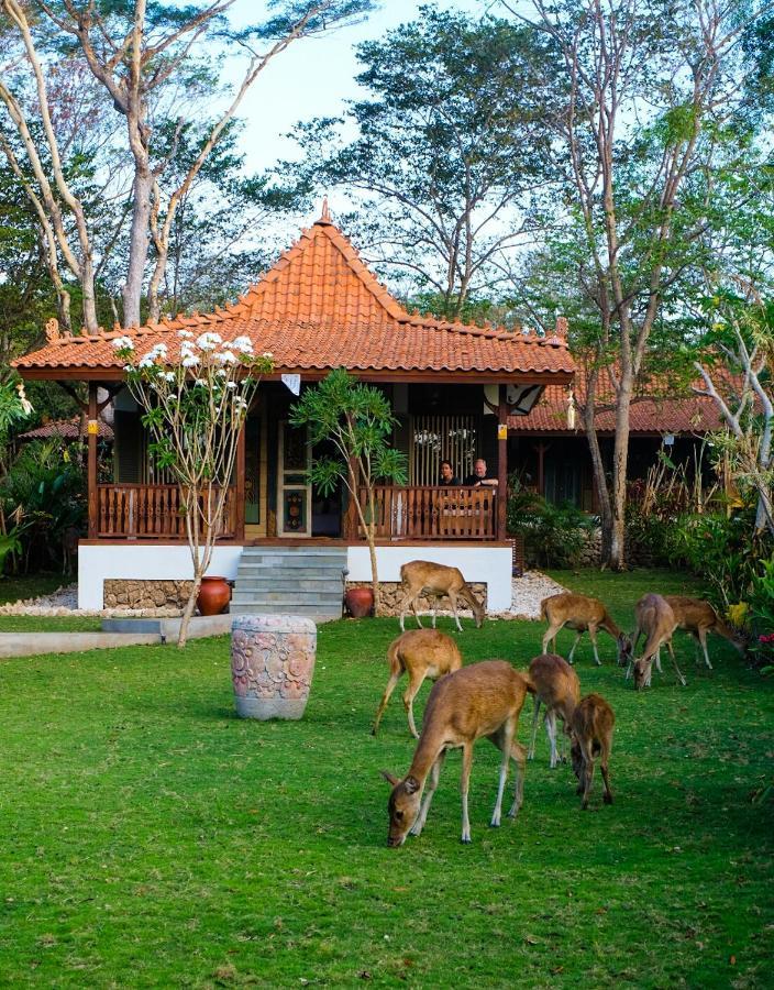 Plataran Menjangan Resort And Spa - Chse Certified Banyuwedang Værelse billede